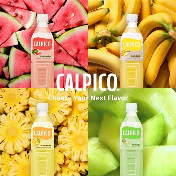 Calpico 可尔必思